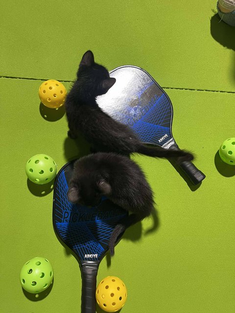 Photo — December 20 2025